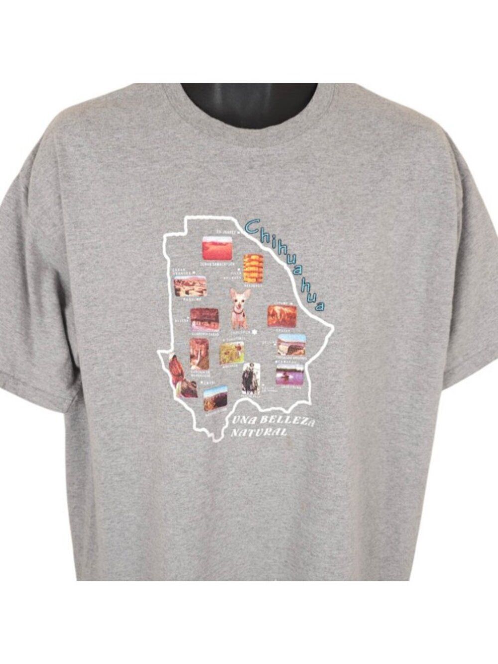 Chihuahua Mexico T Shirt Mens Size XL Gray Travel Destination Tee